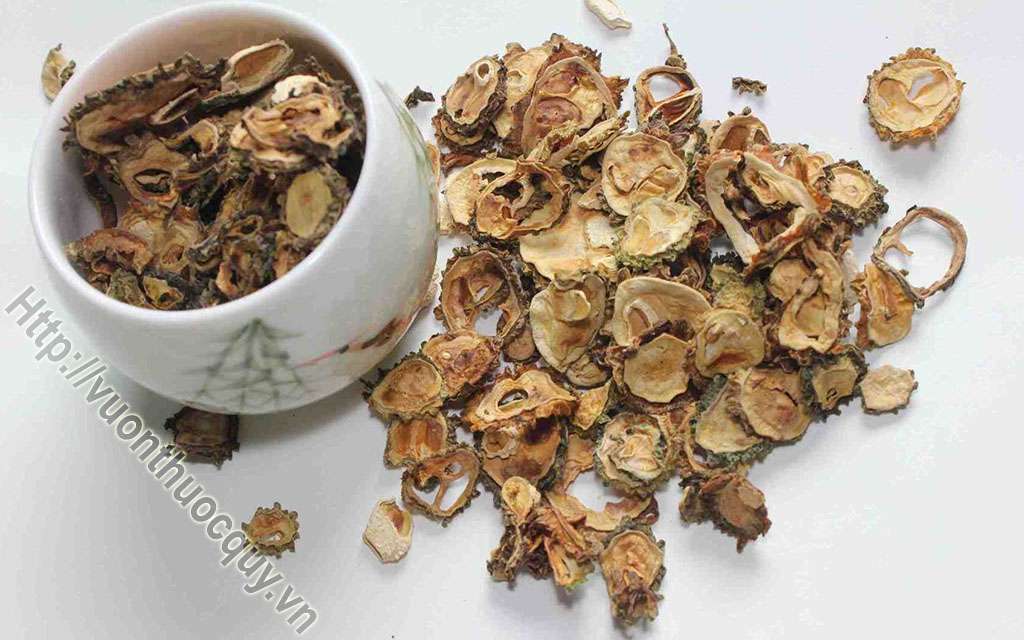 Địa Chỉ Bán Mướp Đắng Rừng Nguyên Chất