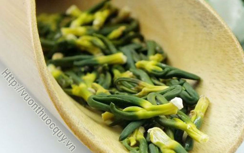Địa Chỉ Bán Tâm Sen Nguyên Chất