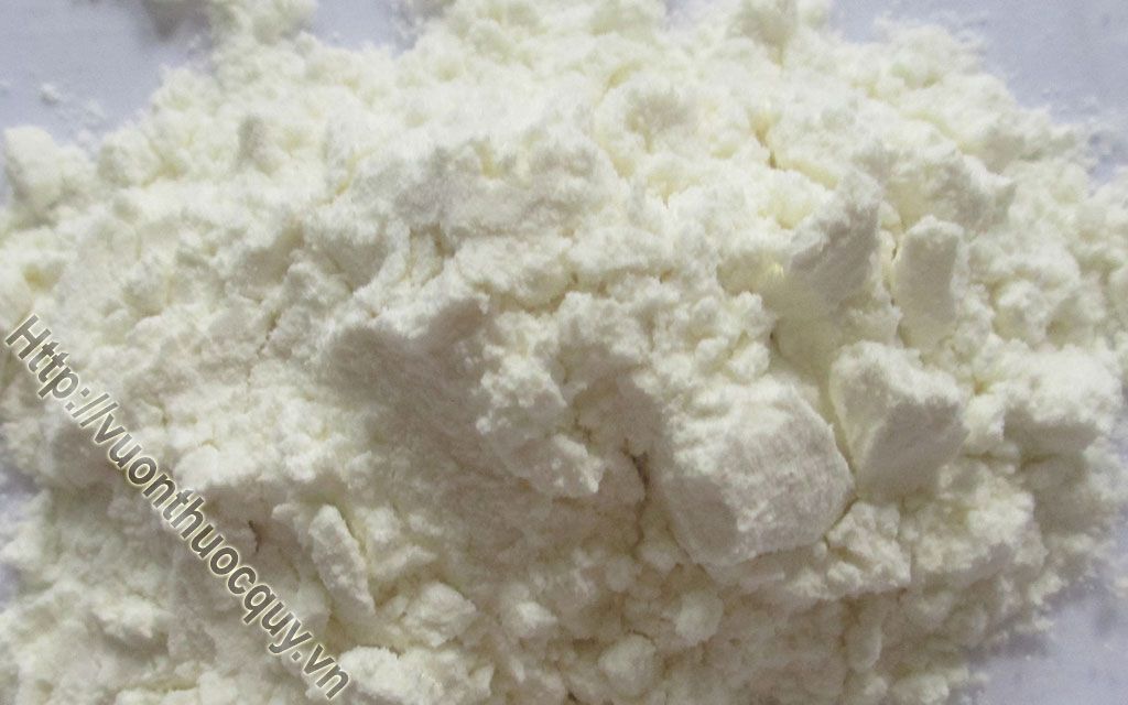 Địa Chỉ Bán Tinh Bột Nghệ Đen Nguyên Chất