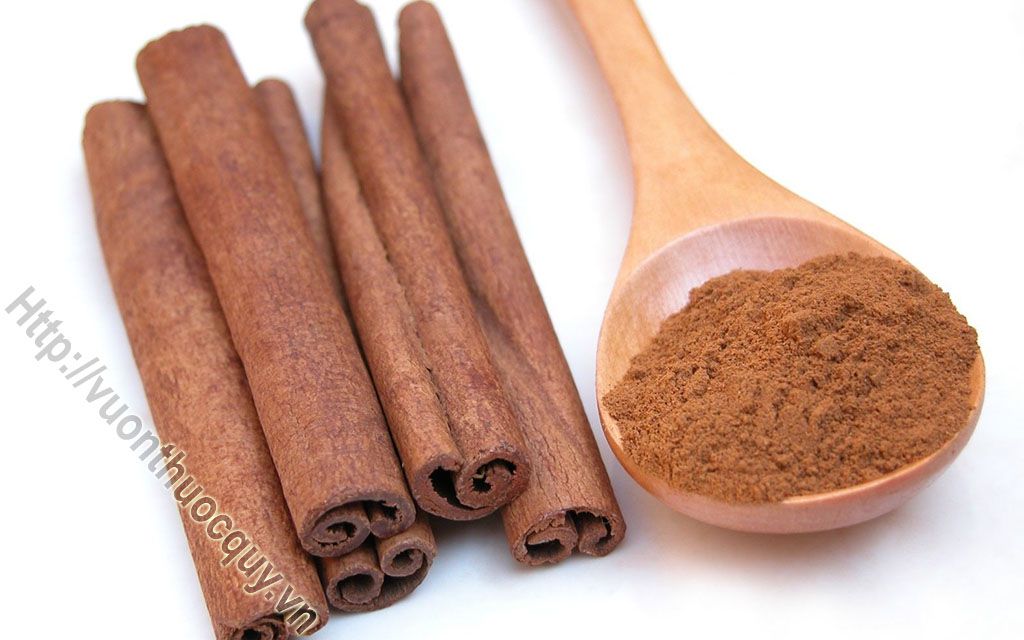 Địa Chỉ Bán Bột Quế Nguyên Chất
