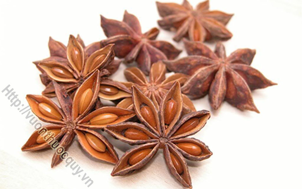 Địa Chỉ Bán Đại Hồi Nguyên Chất