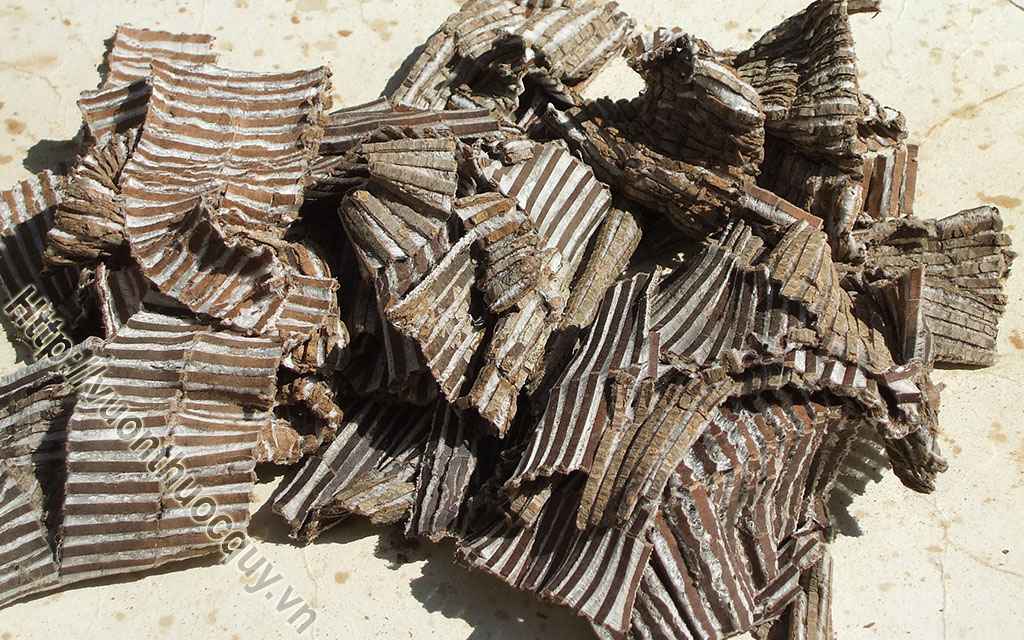 Địa Chỉ Bán Đỗ Trọng Nguyên Chất