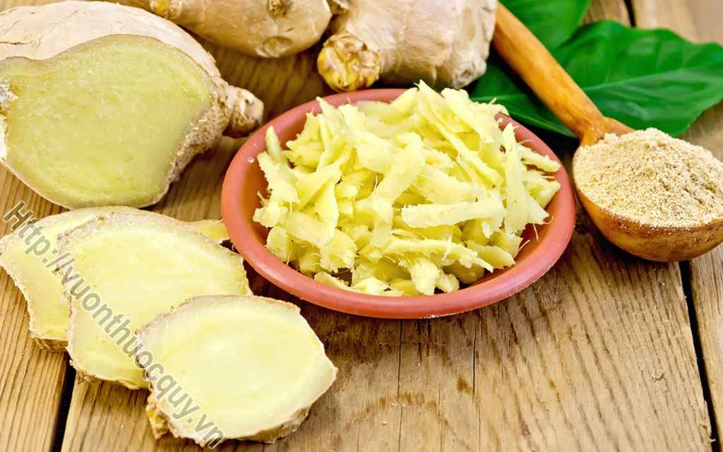 Những Công Dụng Đặc Biệt Của Củ Gừng