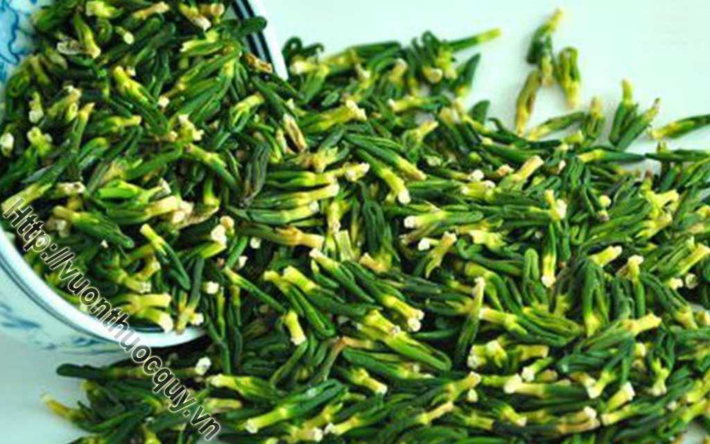 Tâm Sen Hỗ Trợ Giúp An Thần