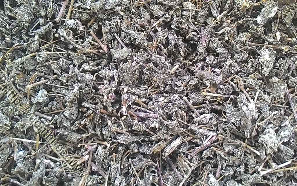 Chè Dây Hỗ Trợ Điều Trị Đau Dạ Dày