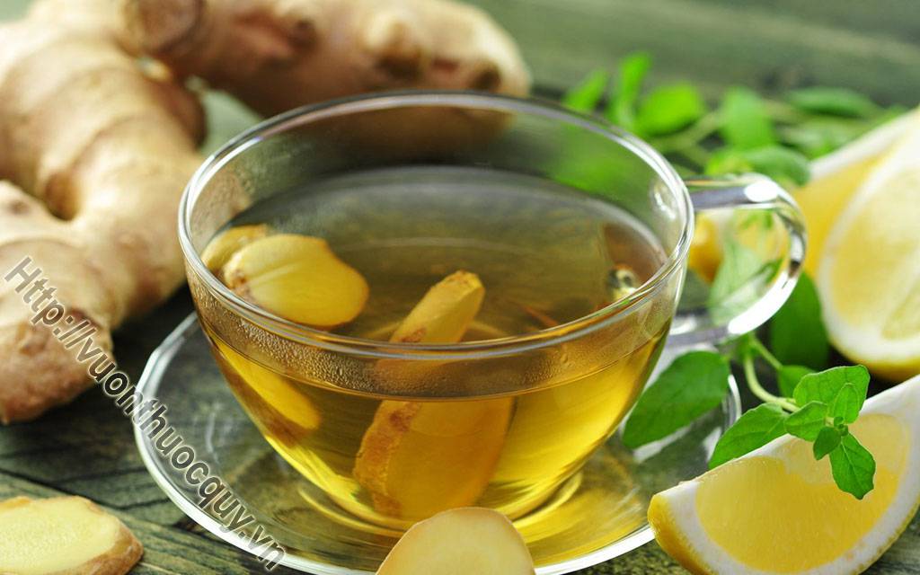 Những Ai Không Được Uống Nước Gừng ?