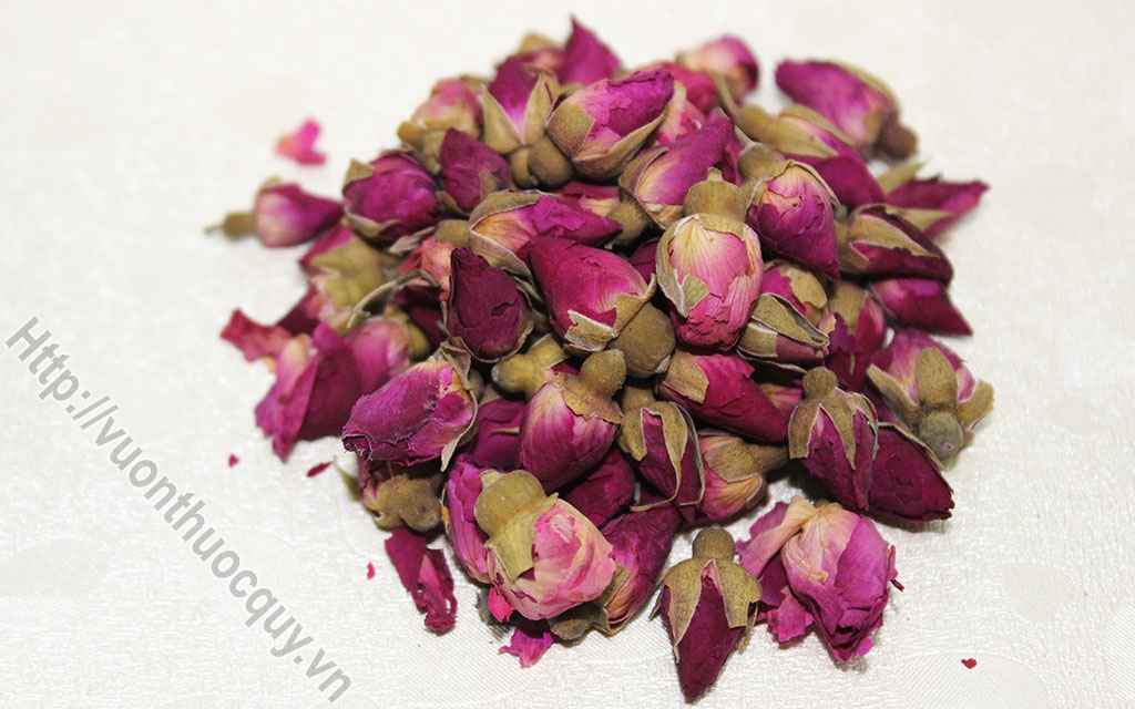 Bài Thuốc Hay Từ Hoa Hồng