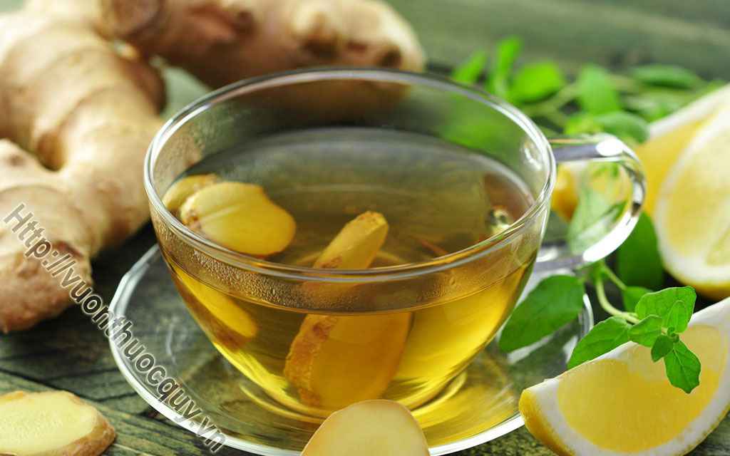 Công Dụng Của Trà Gừng Với Đường Tiêu Hóa