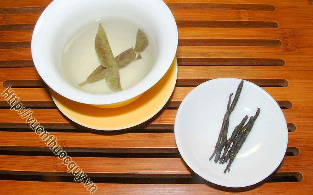 Những Lưu Ý Khi Sử Dụng Chè Đắng