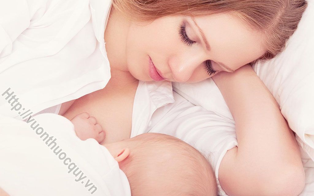 Bài Thuốc Hay Hỗ Trợ Điều Trị Tắc Tia Sữa