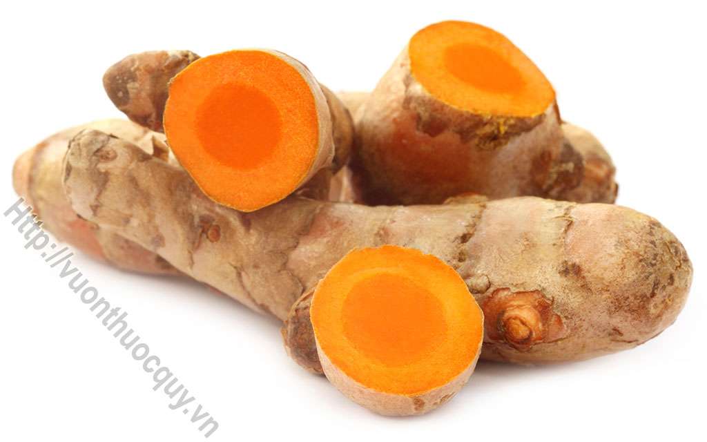 Hoạt Chất Curcumin Trong Củ Nghệ Vàng