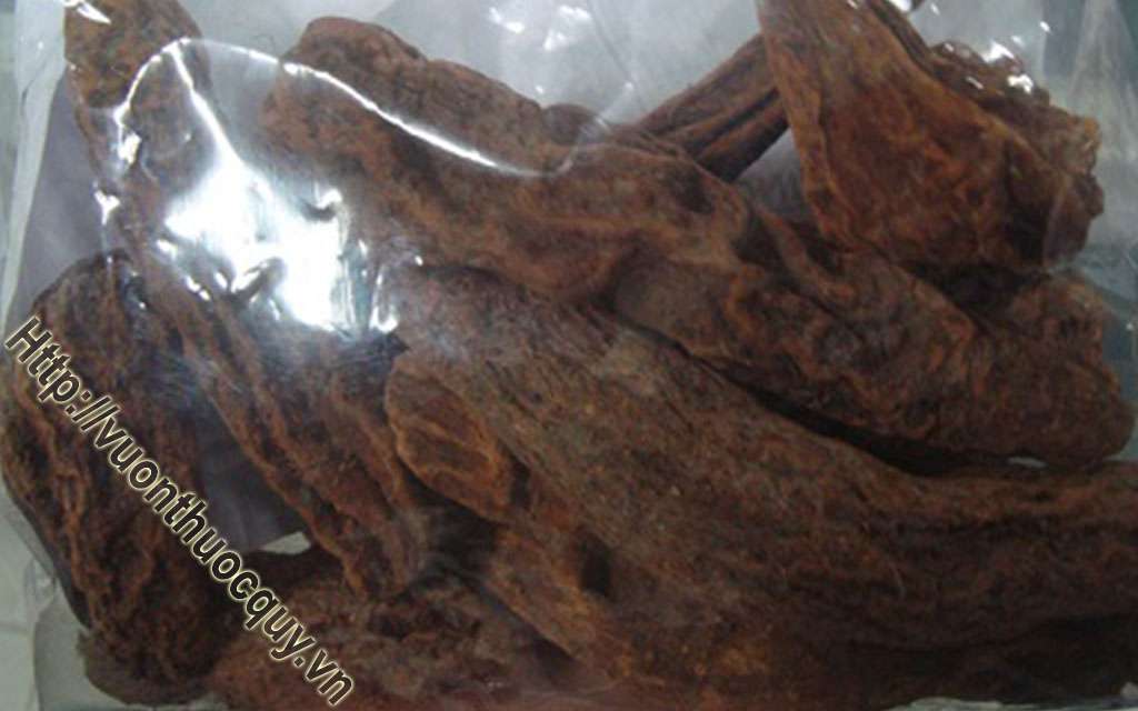 Nhục Thung Dung Giúp Trợ Dương