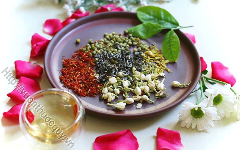Thanh Nhiệt Giải Thử Bằng Hoa