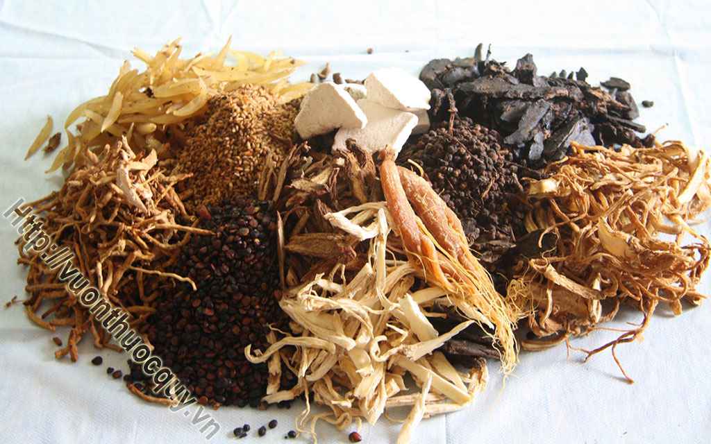 Bài Thuốc Hay Giúp Bổ Nguyên Khí