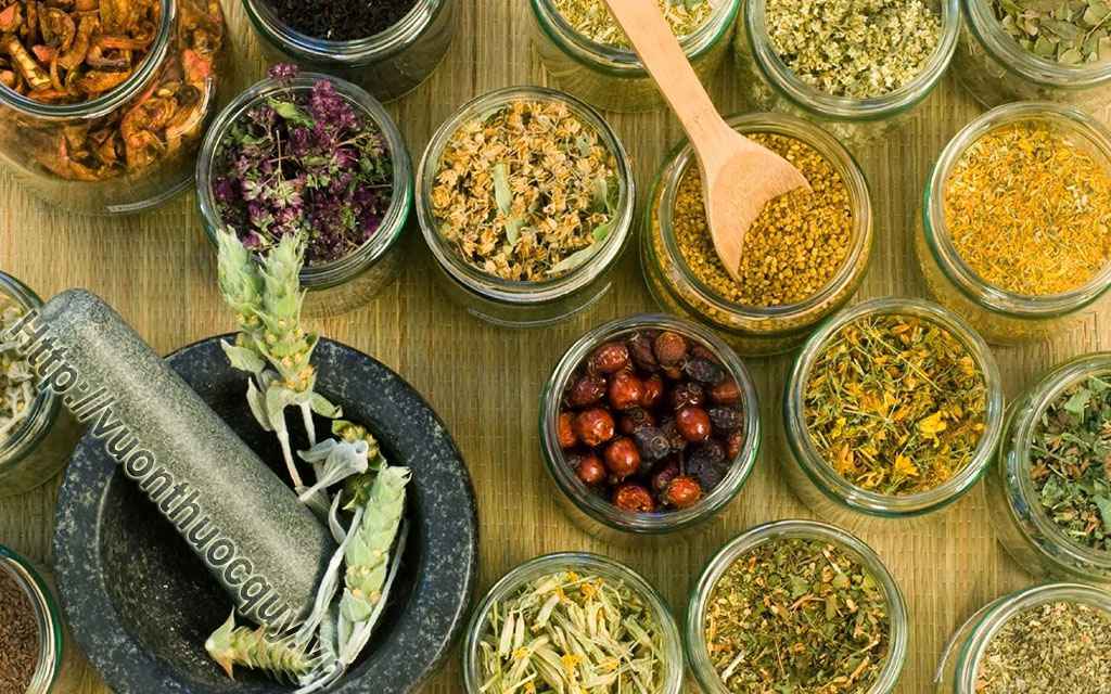 Bài Thuốc Hay Hỗ Trợ Điều Trị Bệnh Vẩy Nến