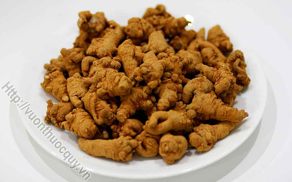 Bài Thuốc Hay Từ Tam Thất
