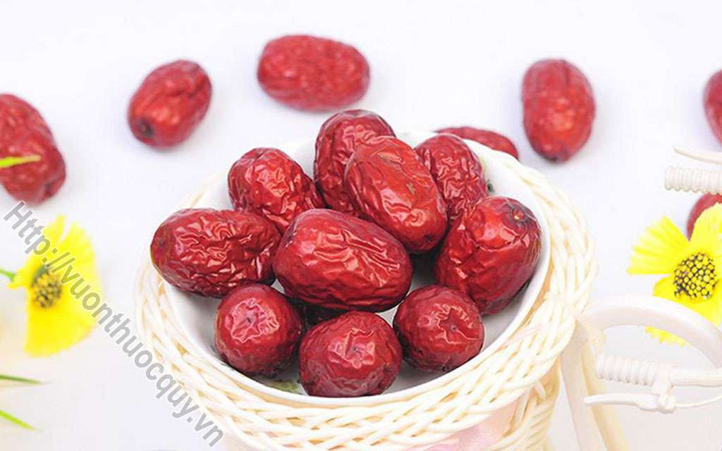 Bài Thuốc Hay Từ Táo Tàu
