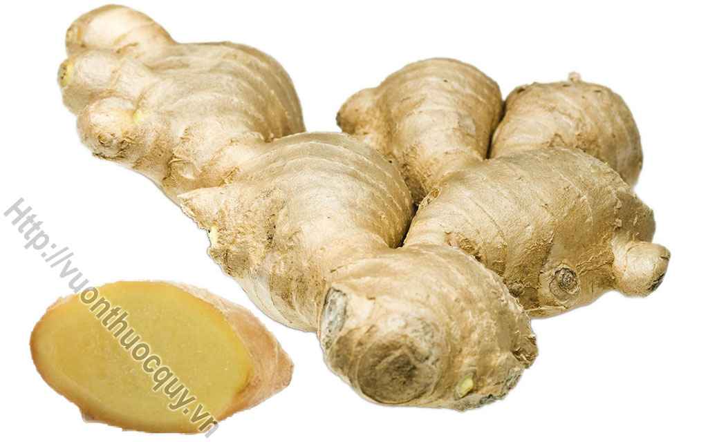 Bài Thuốc Hay Với Gừng Trị Bệnh Huyết Áp Cao