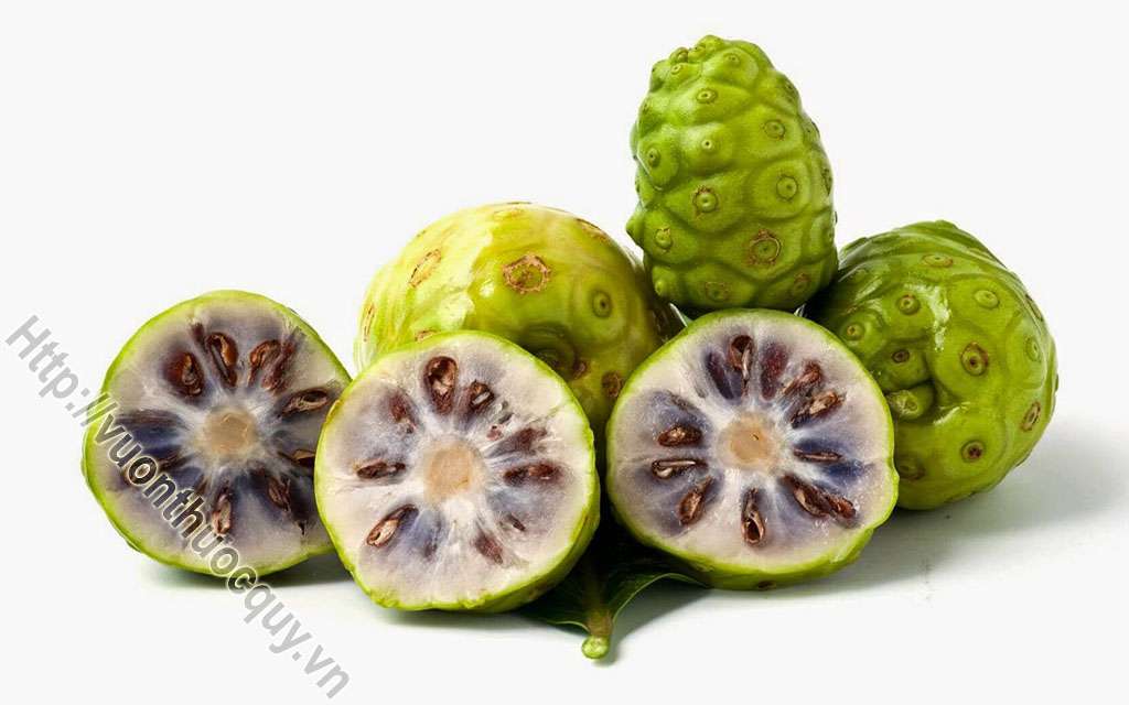 Cách Ngâm Rượu Trái Nhàu