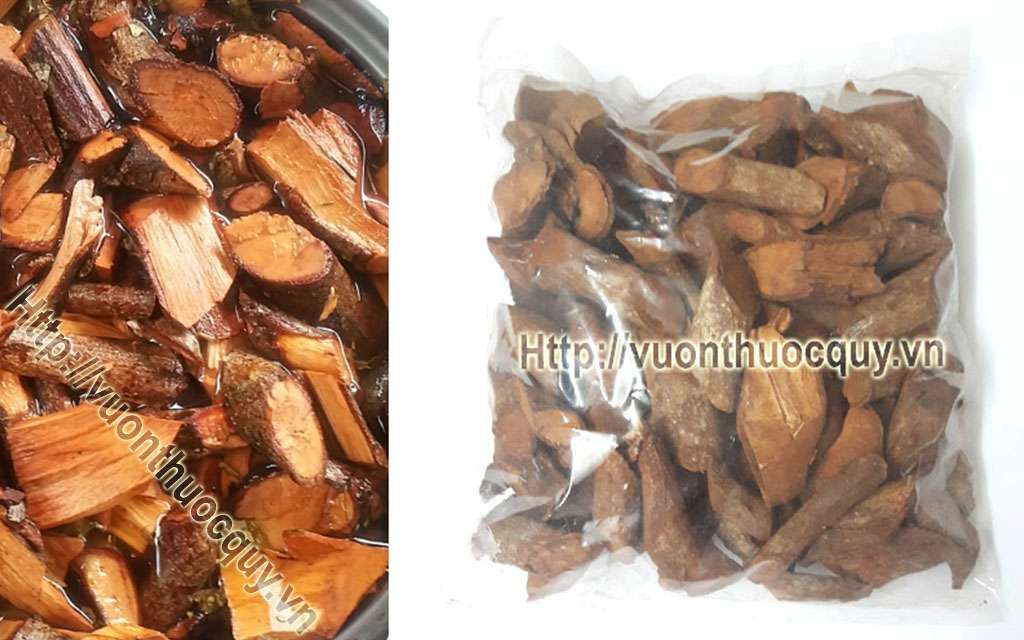 Cây Tơm Trơng Hỗ Trợ Bổ Thận