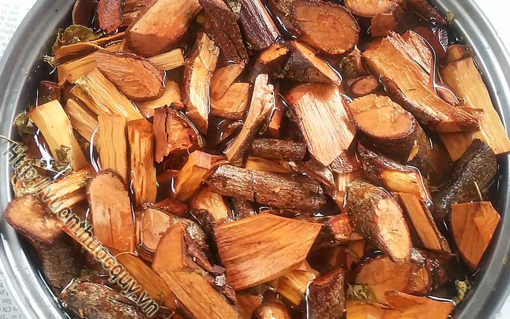 Cây Tơm Trơng Vị Thuốc Quý Của Tây Nguyên