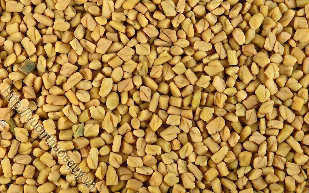 Hạt Methi Hỗ Trợ Ổn Định Đường Huyết