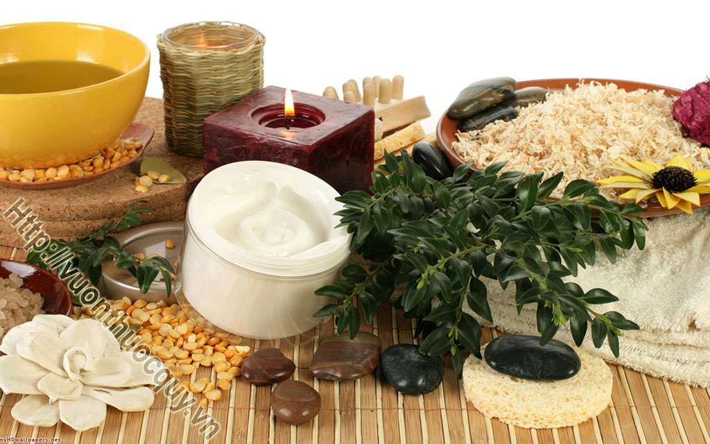 Những Thảo Dược Quý Hỗ Trợ Giải Độc Gan