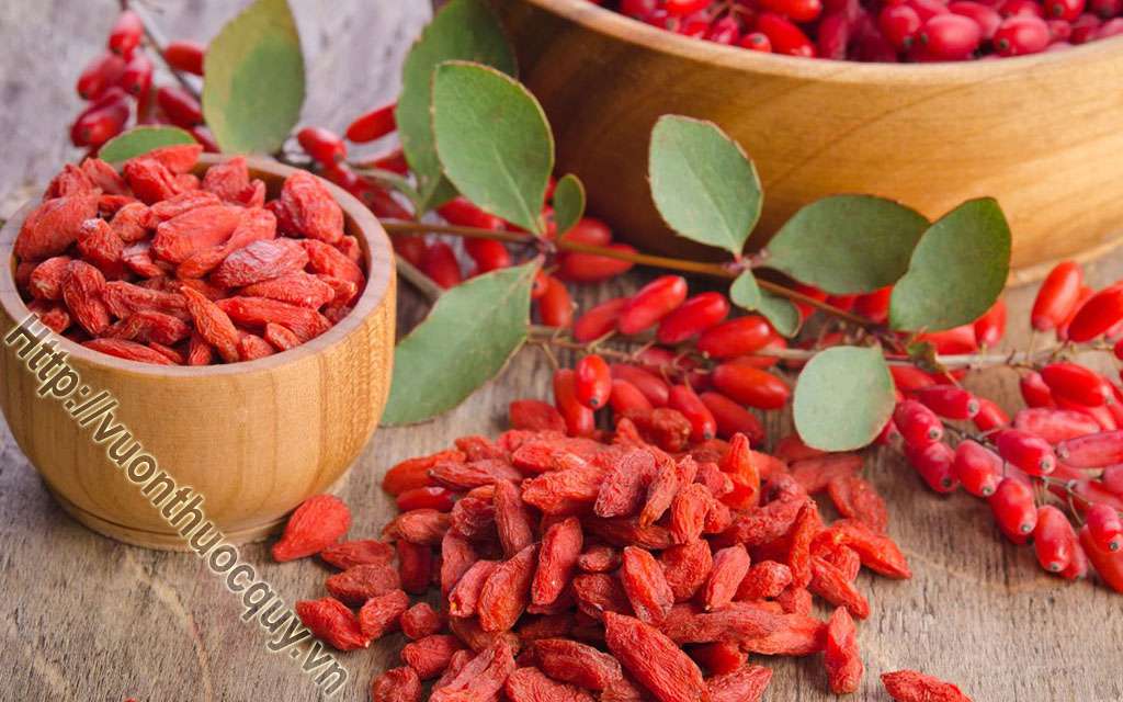 Bài Thuốc Hay Hỗ Trợ Điều Trị Huyết Áp Thấp
