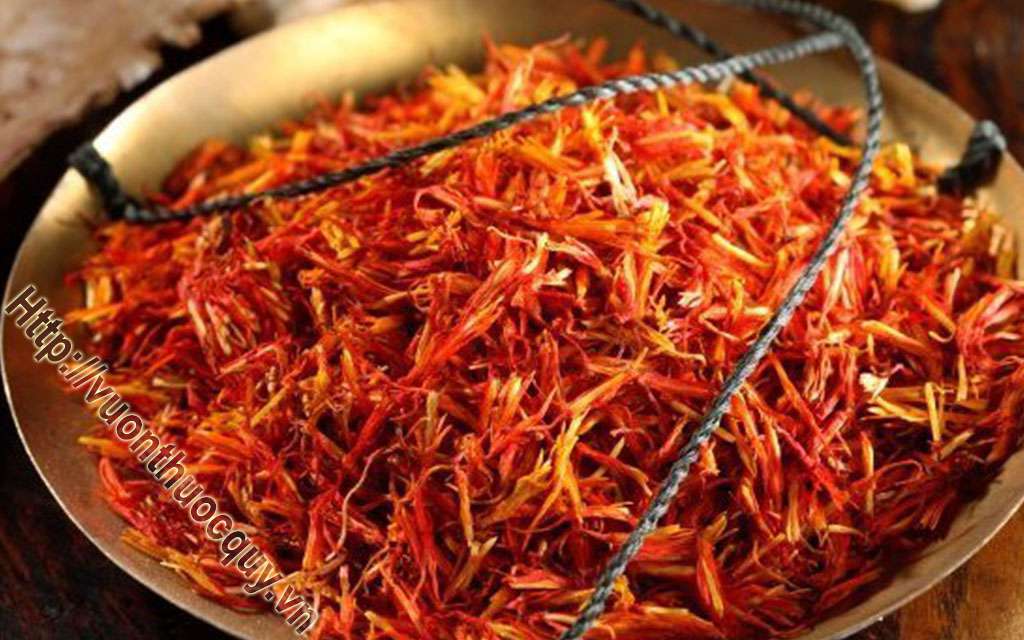 Bài Thuốc Quý Từ Hồng Hoa