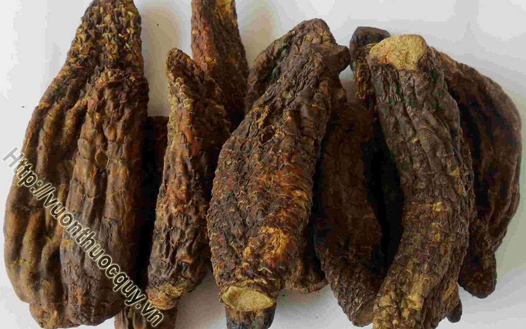 Cách Ngâm Rượu Nhục Thung Dung