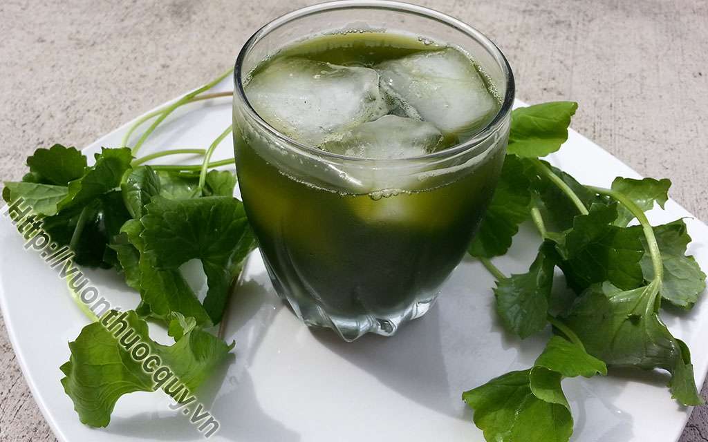 Rau Má Quý Giá Như Tình Mẹ