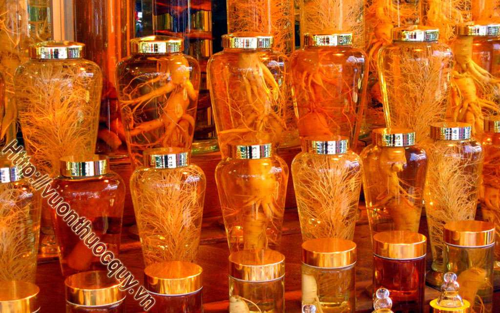 3 Loại Rượu Thuốc Bổ Dương