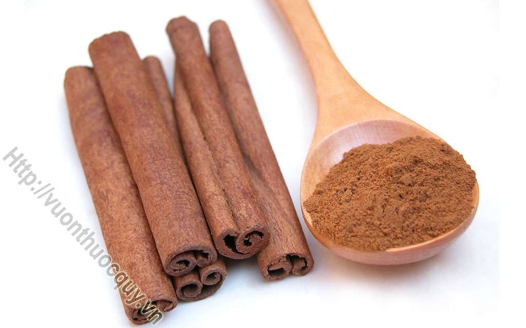 Mua Bột Quế Ở Đâu Tốt ?