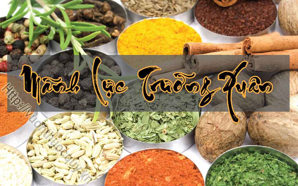 Mua Cửu Tử Hồi Xuân Thang Ở Đâu Tốt ?