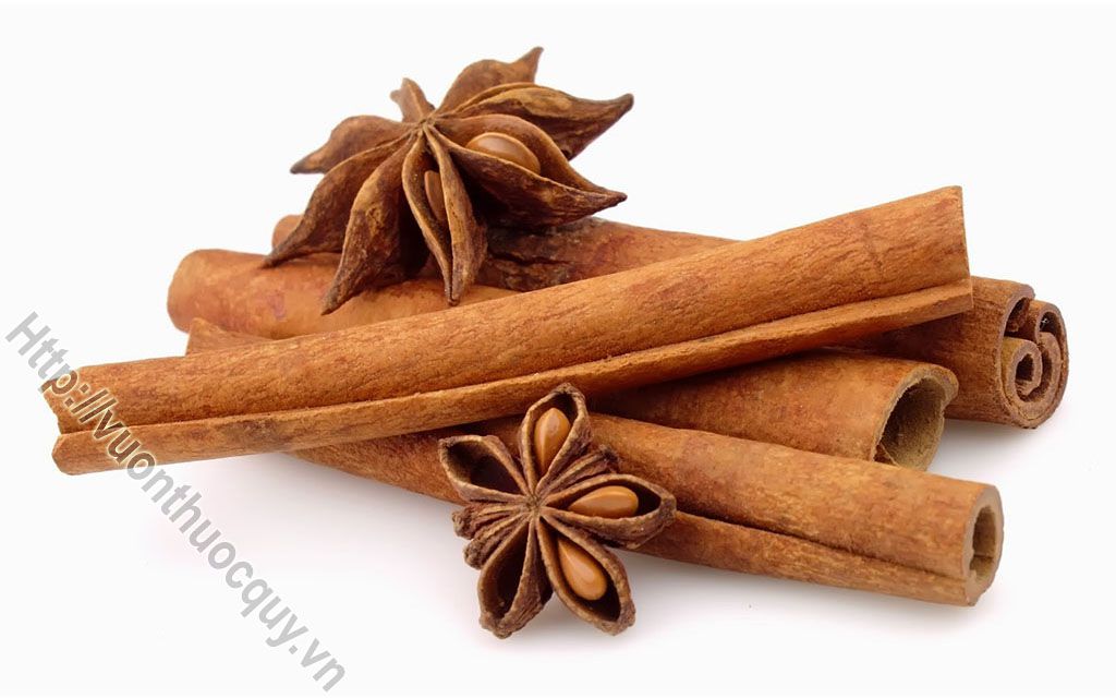 Mua Quế Thanh Ở Đâu Tốt ?