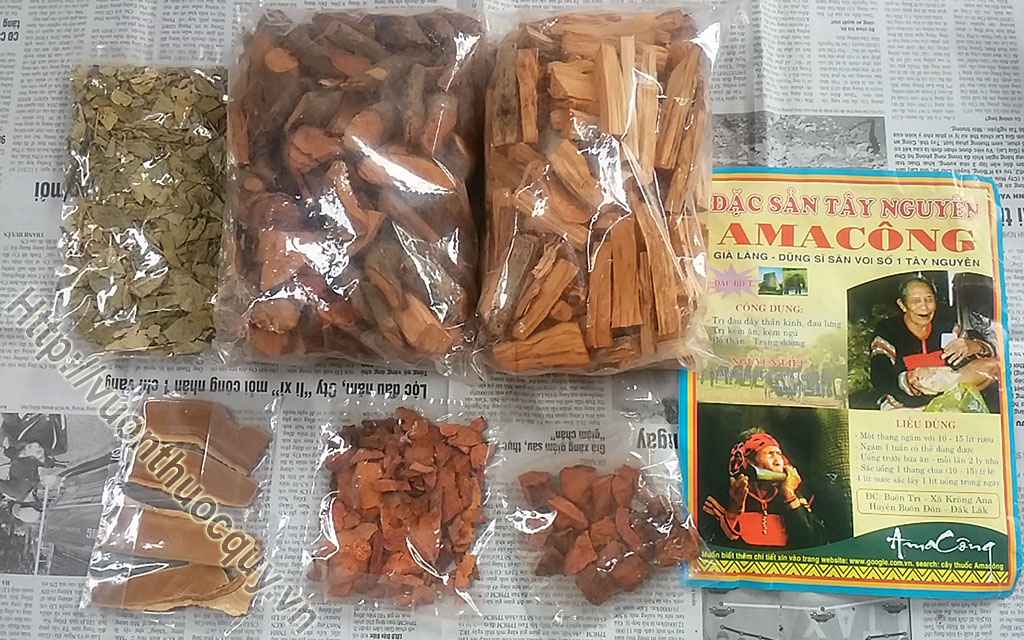 Mua Amakong Ở Đâu Tốt ?