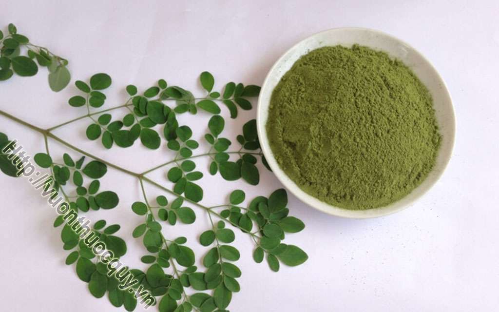 Mua Bột Chùm Ngây Ở Đâu Tốt ?