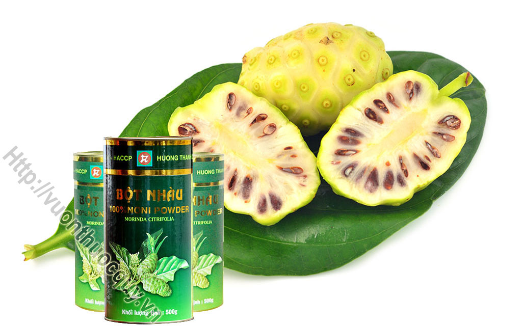 Mua Bột Nhàu Ở Đâu Tốt ?