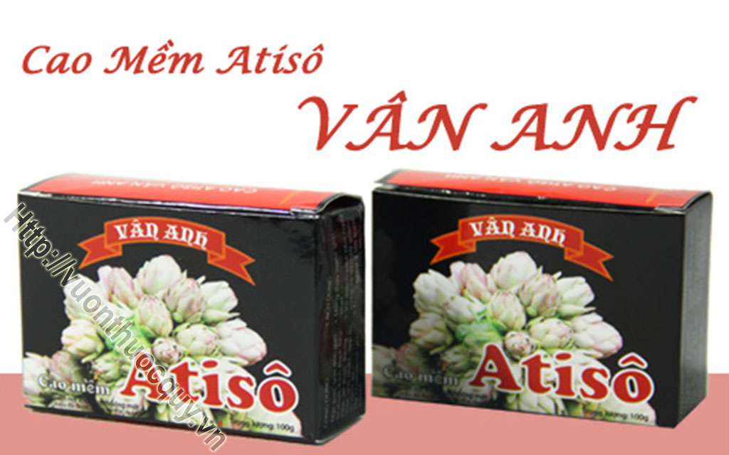 Mua Cao Atiso Ở Đâu Tốt ?