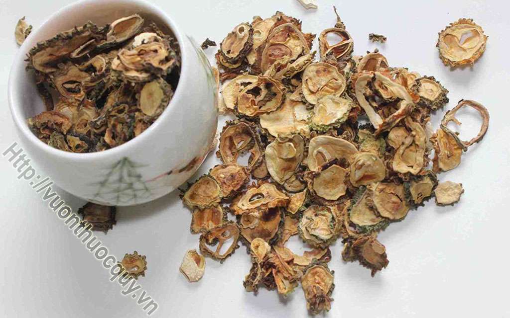 Mua Mướp Đắng Rừng Ở Đâu Tốt ?