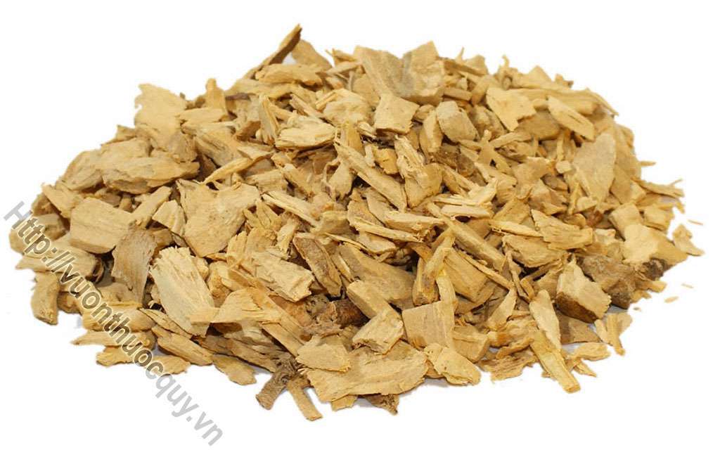 Mua Rễ Mật Nhân Ở Đâu Tốt ?
