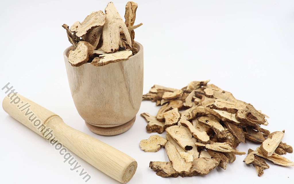 Bạch Truật Hỗ Trợ Điều Trị Tỳ Vị Khí Hư