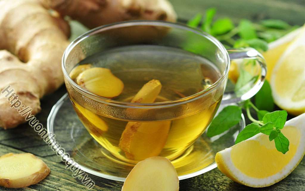 Cách Làm Trà Gừng Tại Nhà