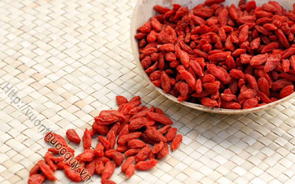 Câu Kỷ Tử Và Những Công Dụng Không Ngờ