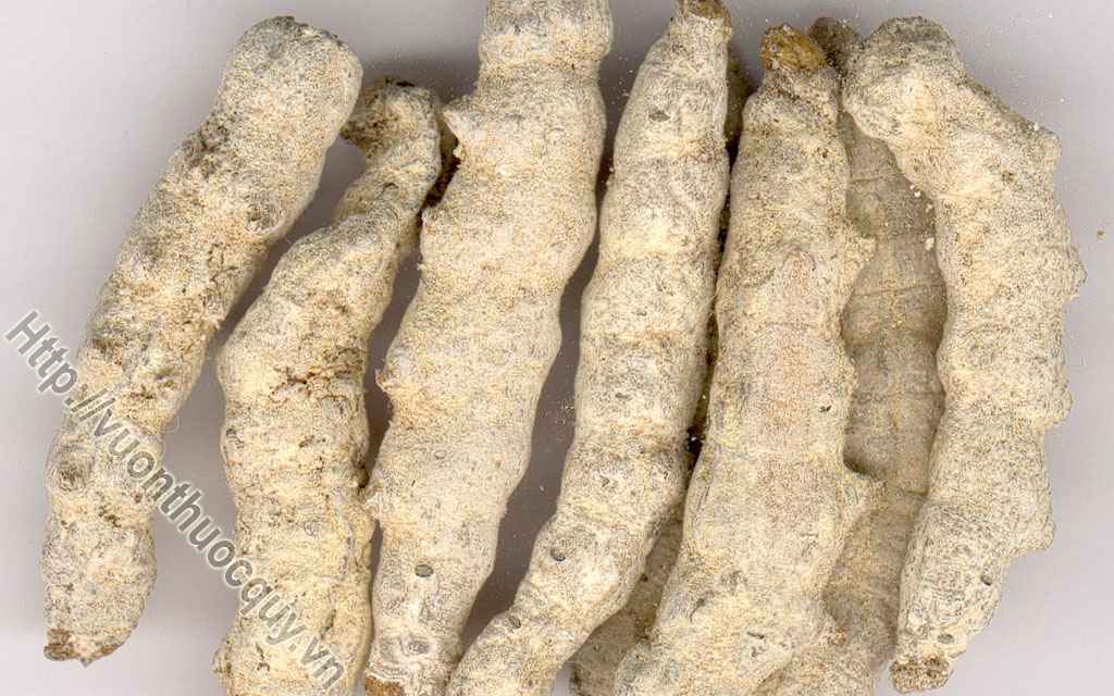 Con Tằm Hỗ Trợ Điều Trị Liệt Dương