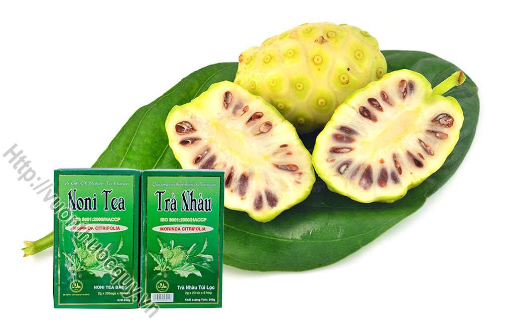 Những Công Dụng Quý Của Trà Nhàu Noni