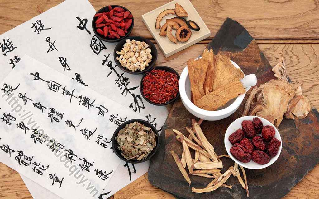 Rượu Thuốc Hồi Xuân Của Phái Đẹp
