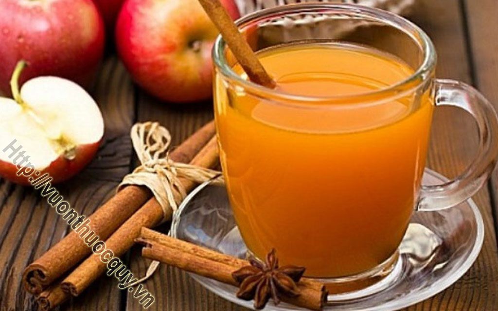 Trà Quế Bài Thuốc Quý Cho Mùa Đông