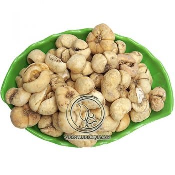 Bối Mẫu