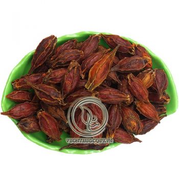 Chi Tử